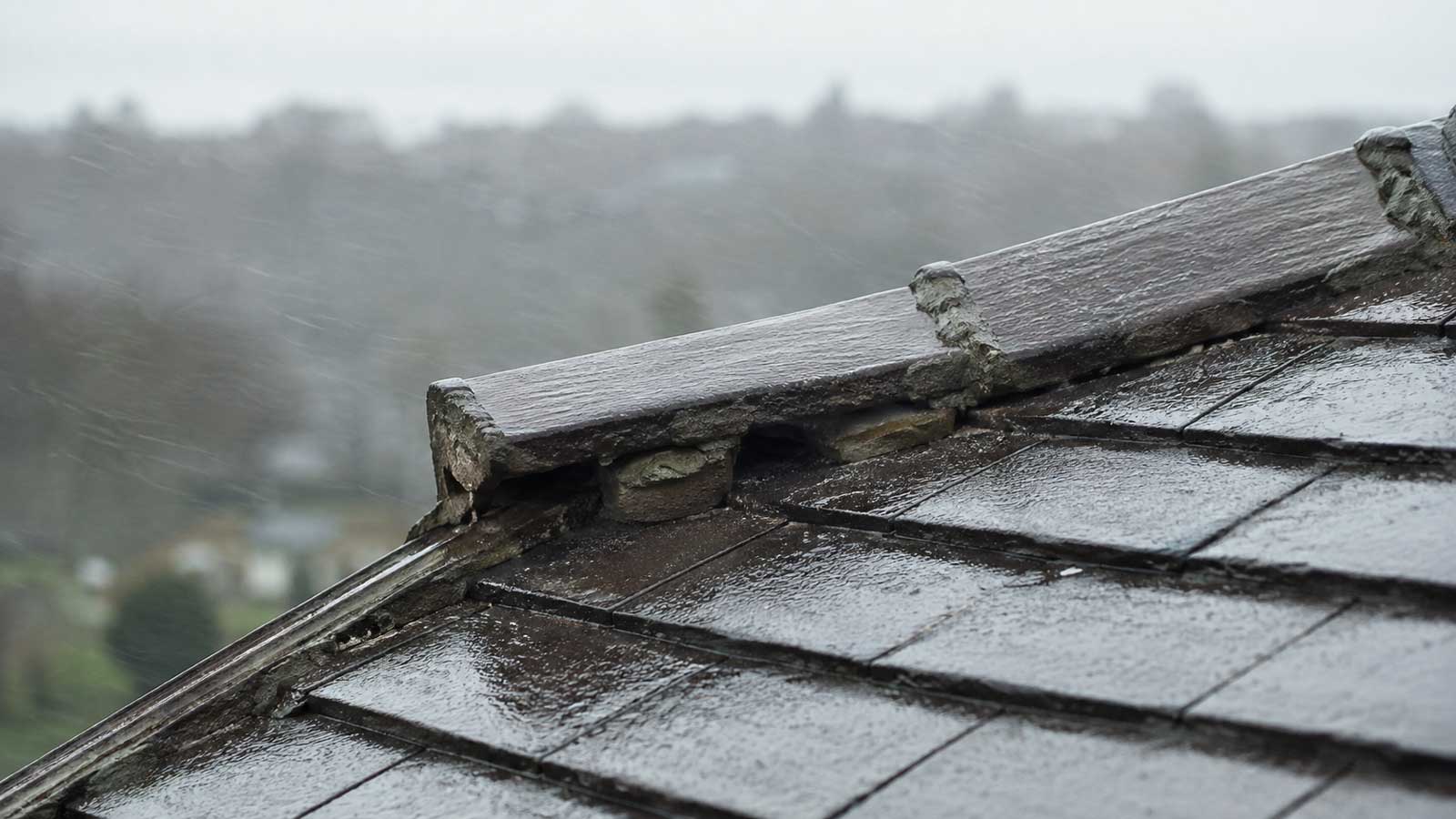 Illustration relating to roof leaks only in wind-driven rain in blackburn